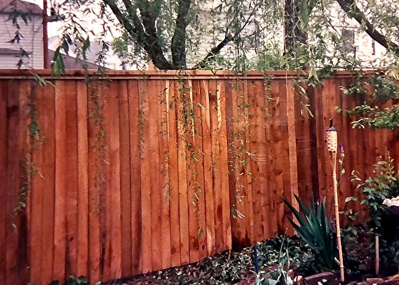 Cedar Privacy Fence